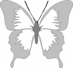 Silver Butterfly Clipart & Silver Butterfly Clip Art Images #3270 ...