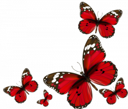 papillons red butterflies png | Butterflies | Pinterest | Red ...