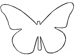 Free Butterfly Outlines, Download Free Clip Art, Free Clip ...