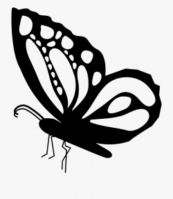 Butterfly Side View Shape - Drawing Of Side Design #1290287 ...