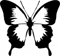kelebek desen çizimleri | Denenecek Projeler | Pinterest | Butterfly ...