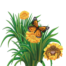 Monarch butterfly Flower - Vector summer flowers 1500*1500 ...