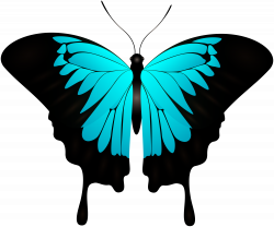 Blue Butterfly Decorative Transparent Image | Gallery Yopriceville ...