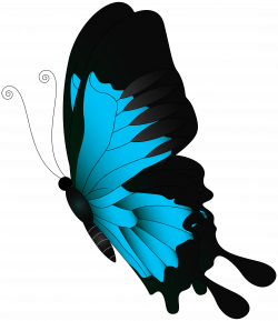 Blue Flying Butterfly PNG Clip Art | Gallery Yopriceville - High ...