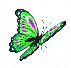 ✿⁀Butterflies‿✿⁀ | ᏰᘎեեᏋᖇƒƖᎥᏋՏ*3 | Pinterest | Butterfly ...