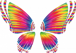 Clipart - RGB Butterfly Silhouette 10 8 No Background