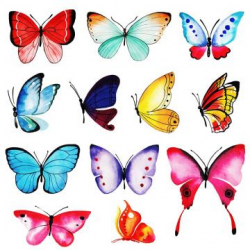 Butterfly Vector Png, Vector, PSD, and Clipart With ...