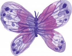 Butterfly Watercolor painting - Watercolor Purple Butterfly 3410 ...