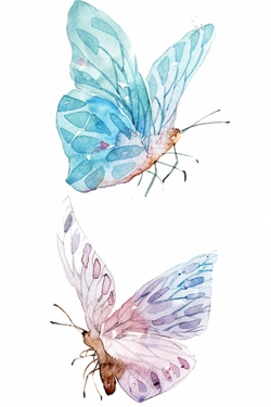 Watercolor painting Drawing Clip art - blue butterfly 837*1258 ...