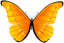 28+ Collection of Orange Butterfly Clipart | High quality, free ...