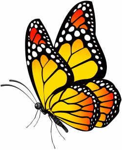 Butterfly Yellow PNG Clip Art Image | Gallery Yopriceville - High ...