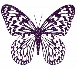 Purple Decorative Butterfly PNG Clipart Image | Gallery ...