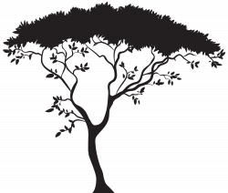 Savanna Clip art - African Tree Silhouette PNG Clip Art 8000*6795 ...