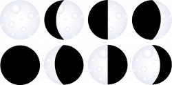 Moon Phases Chart - Free Clip Art