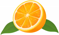 Half Orange Transparent Clip Art Image | Gallery Yopriceville ...
