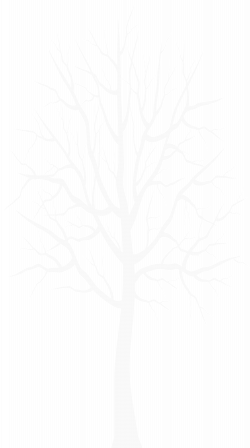 White Winter Tree Transparent PNG Clip Art | Gallery Yopriceville ...