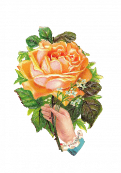 flower clip art victorian | Free Flower Graphic: Pink Yellow Rose ...