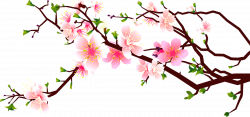 Cherry blossom Peach Clip art - Peach corner decoration 1200*566 ...
