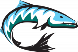 Barracuda Clipart at GetDrawings.com | Free for personal use ...