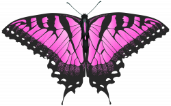 Pink Butterfly Transparent PNG Clip Art Image | Gallery ...