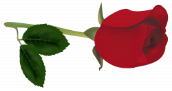 Red Rose Bud PNG Clipart - Best WEB Clipart