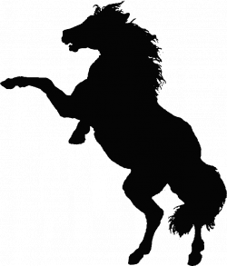 Silhouette Clip Art: Horse Silhouette Clipart Pictures