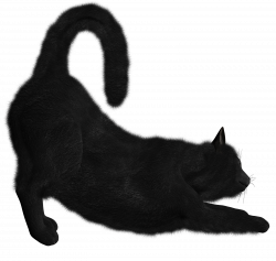 Png Black Cat Collection Clipart #30364 - Free Icons and PNG Backgrounds