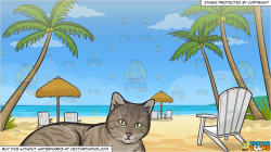 A Resting Striped Cat and Loungers On The Beach Background