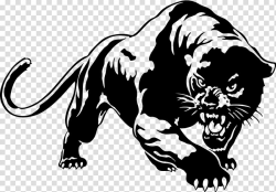 Black panther Cougar YouTube , black panther transparent ...
