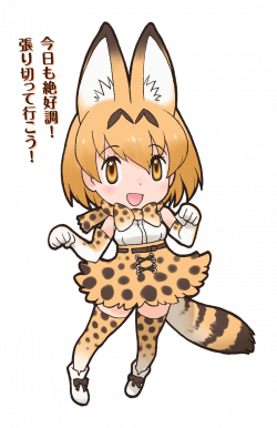 Serval Cat | Japari Library Wiki | FANDOM powered by Wikia