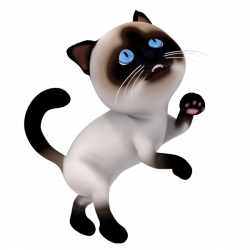3D Cartoon Cat Character asking for food | Free PNG images from ...