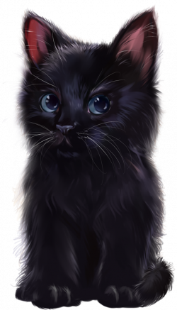 Pin by ~Girly❤️Girl~ on Cat 3D Tubes 1 | Pinterest | Cat, Black ...