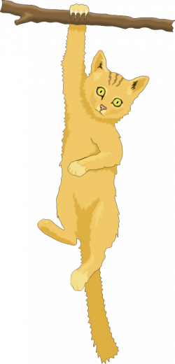 Climbing Tree clipart cat - Pencil and in color climbing tree ...