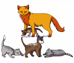 Adopted Warrior Cats by Drekalder on DeviantArt
