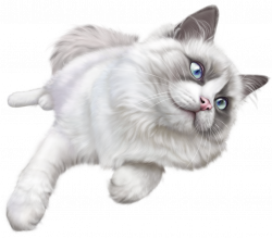 White Cat PNG Clip Art - Best WEB Clipart