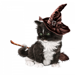 steampunk_witch_with_a_kitten 22.png | Animal Clipart | Pinterest ...