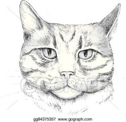 Vector Illustration - Cat. hand-drawn cat . EPS Clipart ...