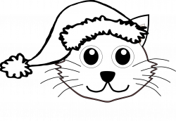 Cat Hat Coloring Pages Print Printable Sheet - Colorine.net | #9561 ...