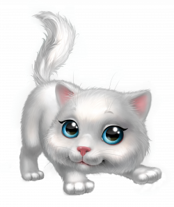 Cute White Kitten PNG Clipart Image | Gallery Yopriceville - High ...