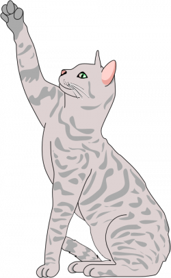 Free Gray Cat Cliparts, Download Free Clip Art, Free Clip Art on ...