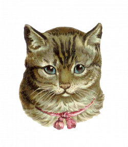 Antique Images: Vintage Cat Clip Art: Victorian Die Cut of Tabby Cat ...