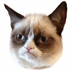 Grumpy Cat Head Right transparent PNG - StickPNG