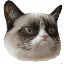 Grumpy Cat Head Right transparent PNG - StickPNG