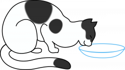 Clipart - white cat drinking