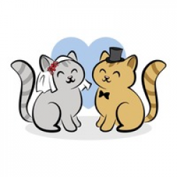 Free Wedding Cat Cliparts, Download Free Clip Art, Free Clip ...