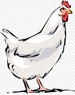 Dominique chicken Broiler Bird Rooster Clip art - hen ...