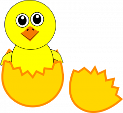 Chicken clipart chicken chick - Pencil and in color chicken clipart ...
