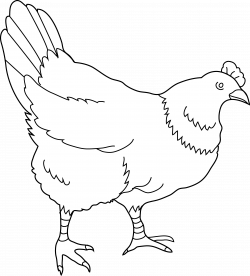 Hen Coloring Page 2 - Free Clip Art