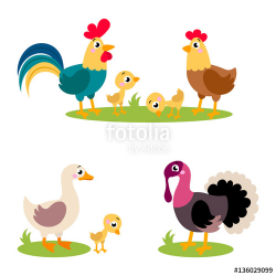 Set of popular colorful vector farm birds. Cute farm birds ...