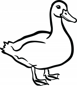 duck clipart black and white | Carving Patterns | Pinterest | Clip ...